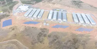 Project Main Image